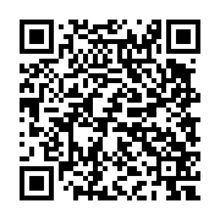 QR code for PDT463
