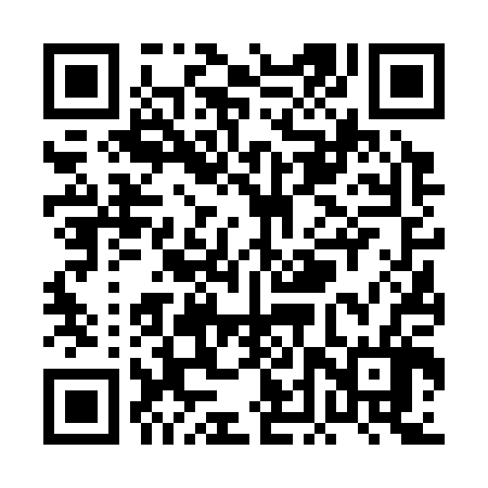QR code for PDV306