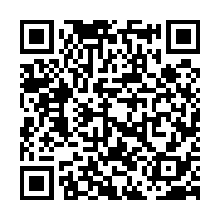 QR code for PEF538