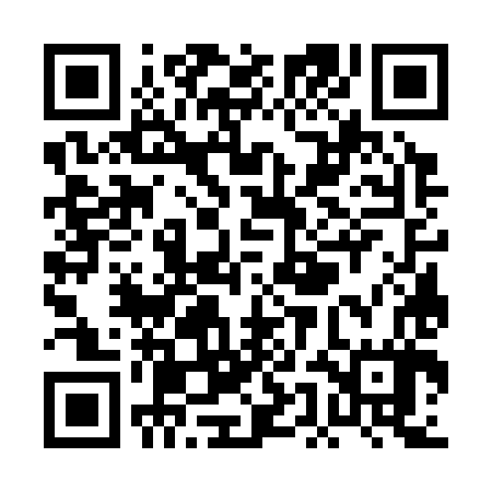 QR code for PEG387