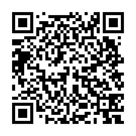 QR code for PEG638