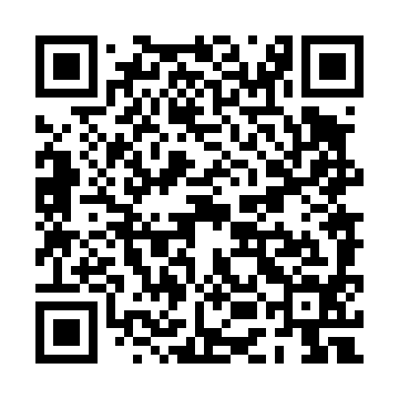 QR code for PEN494