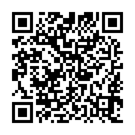 QR code for PEN993