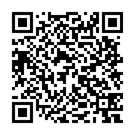QR code for PEO538