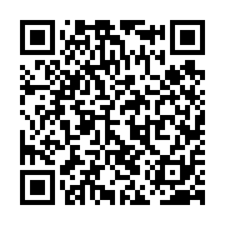 QR code for PEV611