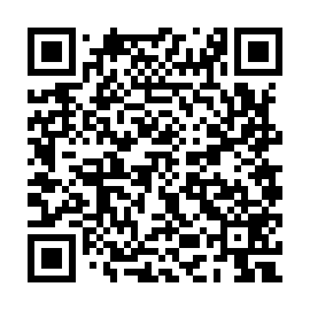 QR code for PEV959