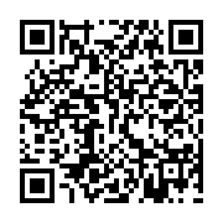 QR code for PFA313