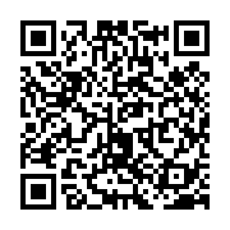QR code for PFI439