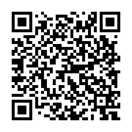 QR code for PFL161