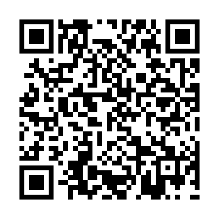 QR code for PFL381
