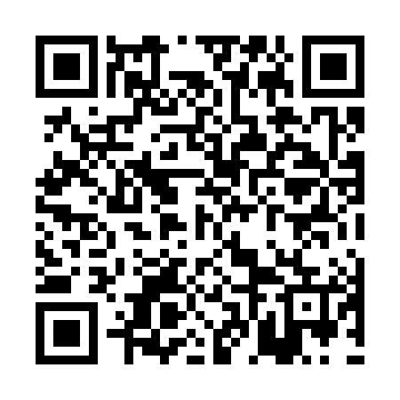 QR code for PFL385
