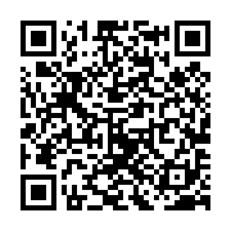 QR code for PFL491