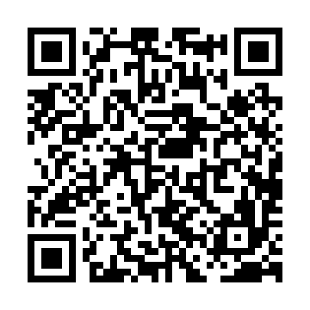 QR code for PFP296