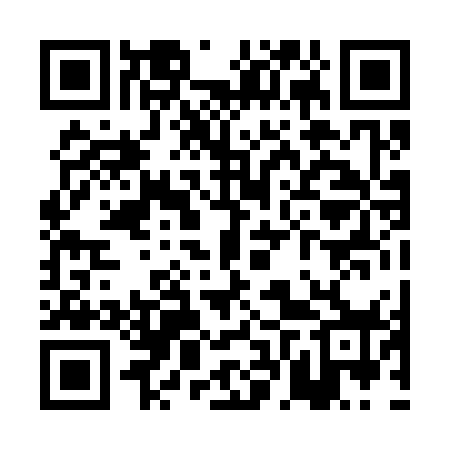 QR code for PFP378