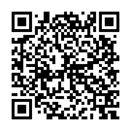 QR code for PFP573
