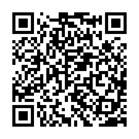 QR code for PFP999