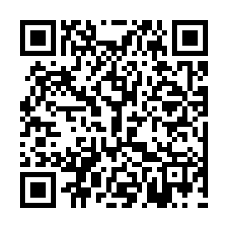 QR code for PFS387