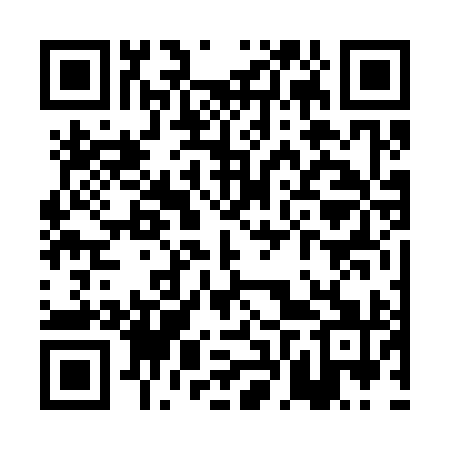 QR code for PFV391