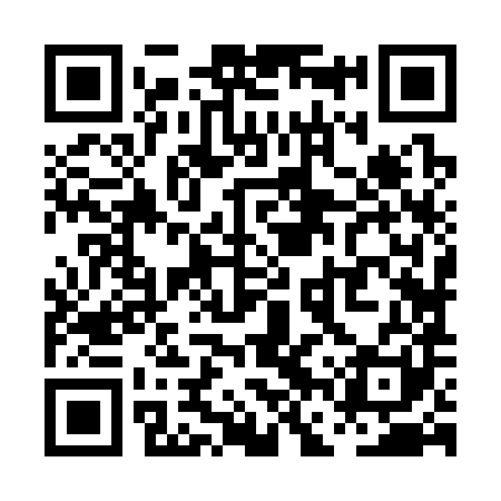QR code for PFZ381