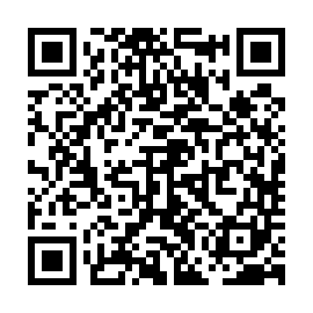 QR code for PGB541
