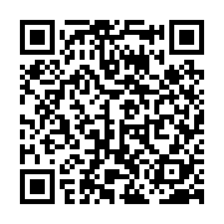 QR code for PGG228