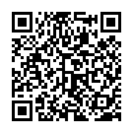 QR code for PGG419