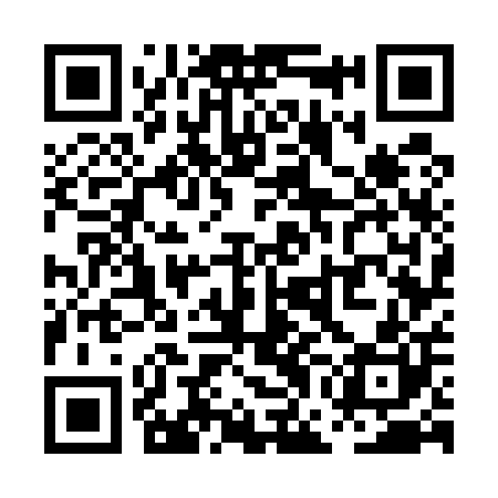 QR code for PGG500