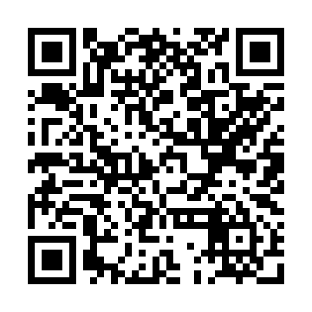 QR code for PGI295