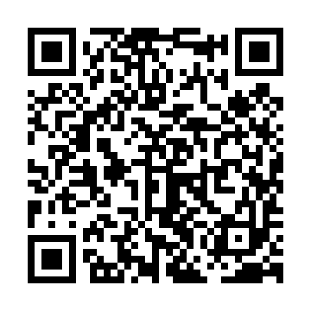 QR code for PGI493