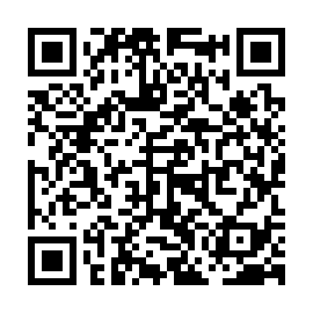 QR code for PGK339