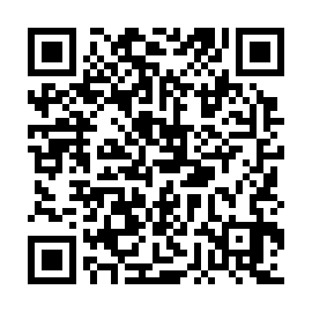QR code for PGL333