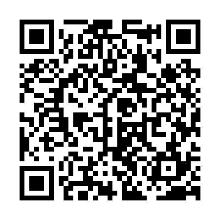 QR code for PGM234