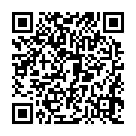 QR code for PGN377