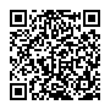 QR code for PGN736