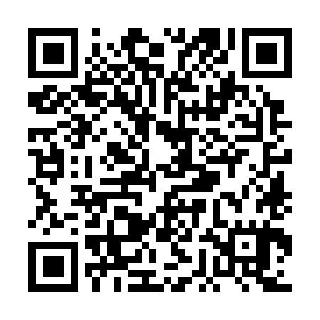 QR code for PGO385