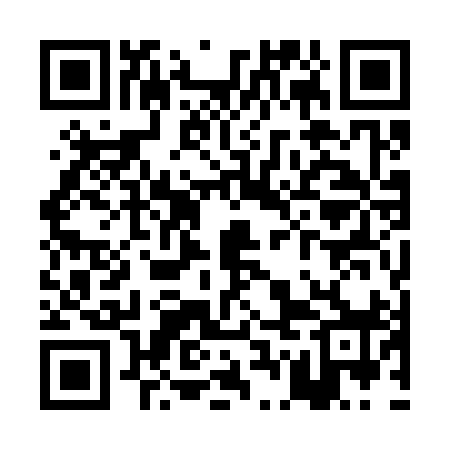 QR code for PGO398