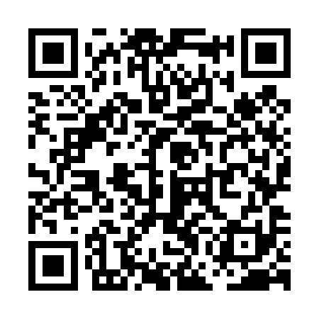 QR code for PGO491