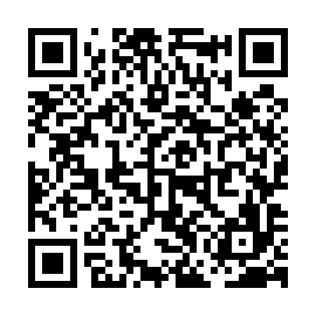 QR code for PGO596
