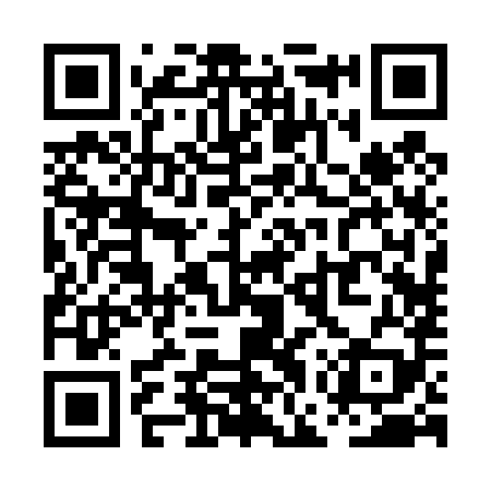 QR code for PGR489