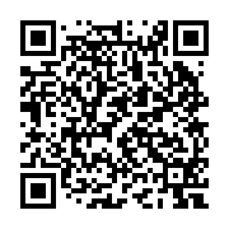 QR code for PGS294