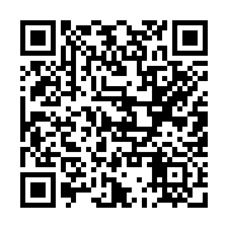 QR code for PGU333