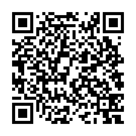 QR code for PGV339