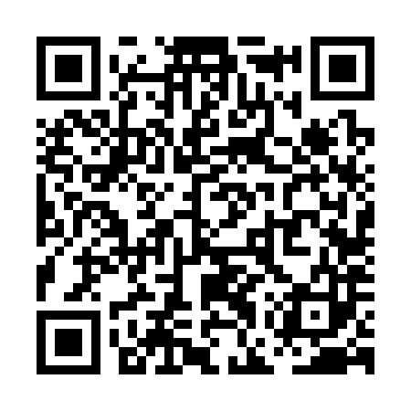 QR code for PGV383