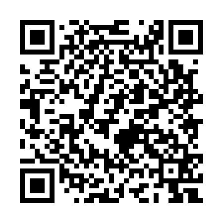 QR code for PGX161