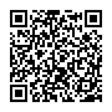 QR code for PGZ161