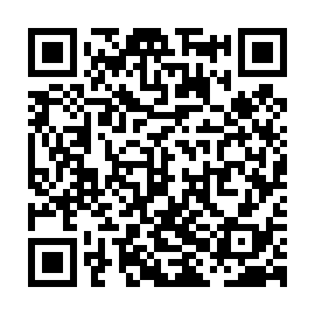 QR code for PHG438