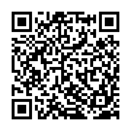 QR code for PHI294