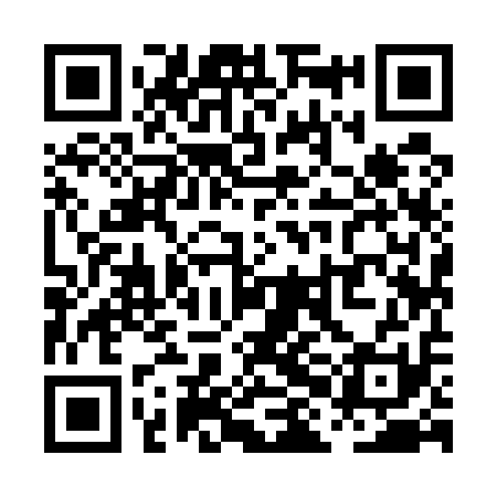 QR code for PHI511