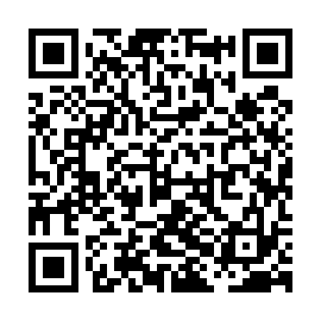 QR code for PHI533