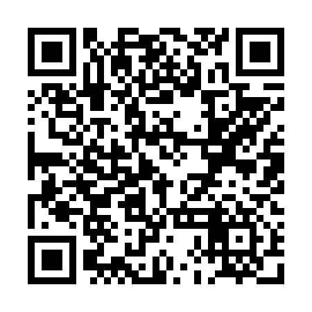 QR code for PHI617